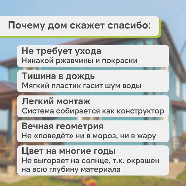 Docke ЛЮКС Коллектор Карбон