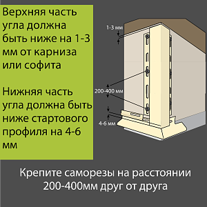 Купить Олива в Иркутске